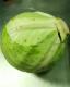 How To Freeze Mashed Cabbage
